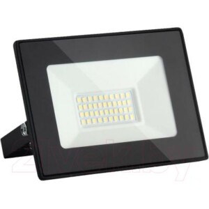 Прожектор Elektrostandard Elementary 029 FL LED 50W 6500K IP65