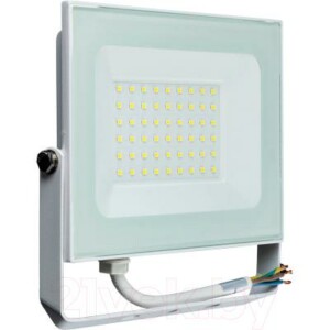 Прожектор Truenergy Power Plus 50W 6500K 13150